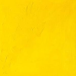 WINTON OIL COLOR 37ml CADMIUM YELLOW LIGHT