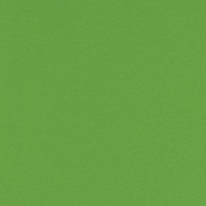 FOLIA ARTCARD 19.5X27.5 SPRING GREEN