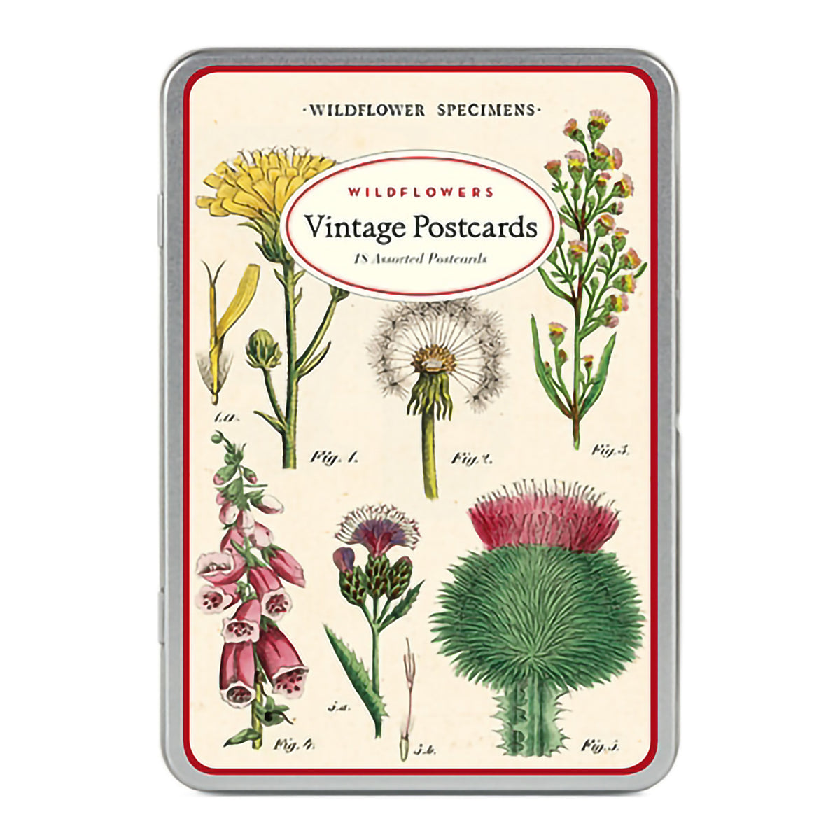 VINTAGE POSTCARDS WILDFLOWERS