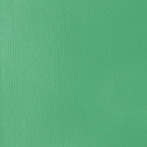 SOFT BODY 59ml JAR BRIGHT AQUA GREEN