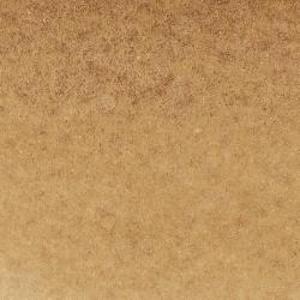 PROMARKER WATERCOLOR RAW UMBER