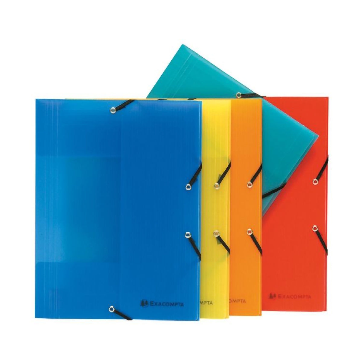 EXACOMPTA POLYPRO LINICOLOR FOLDER