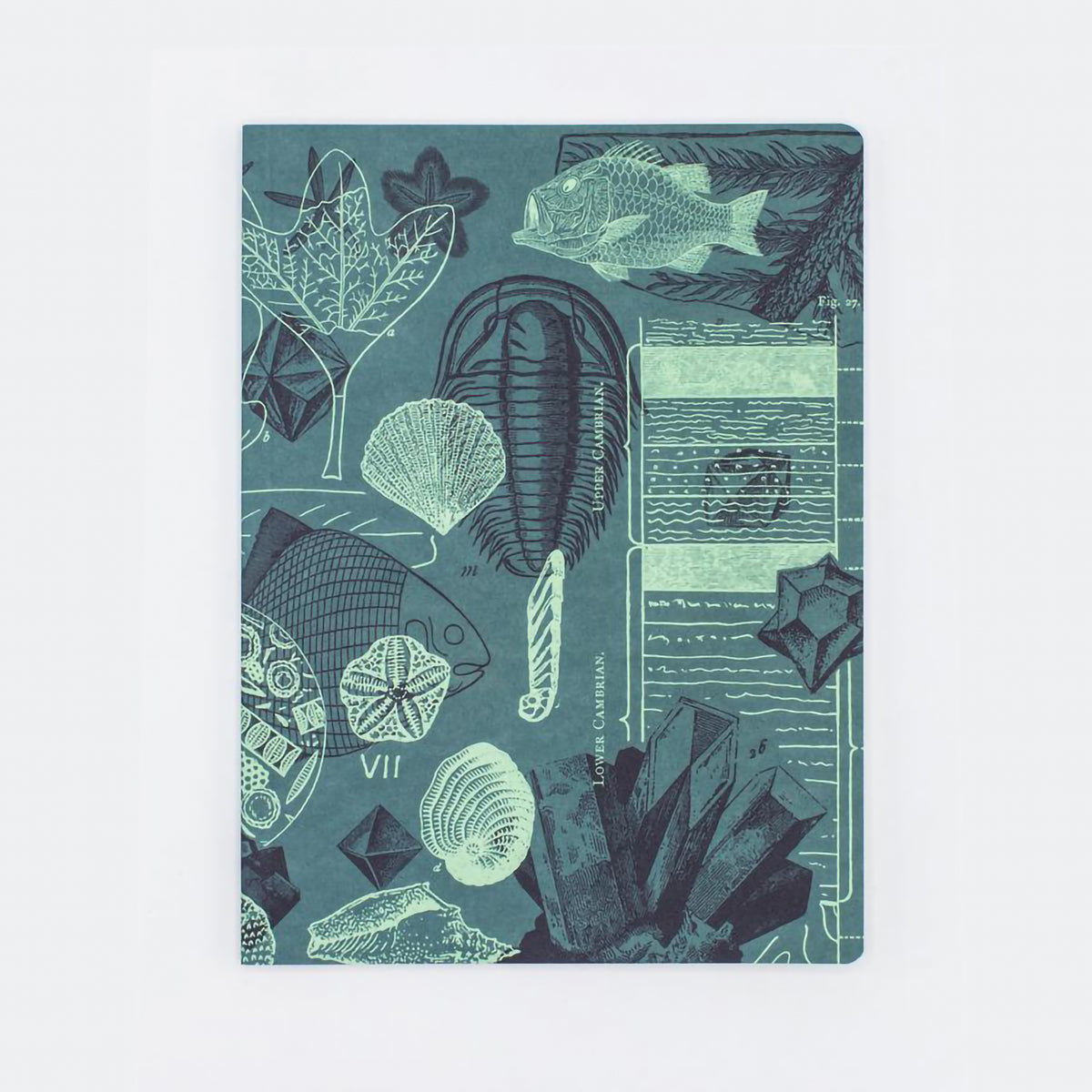 EXPERIMENT SOFTCOVER NOTEBOOK RULED FOSSILS