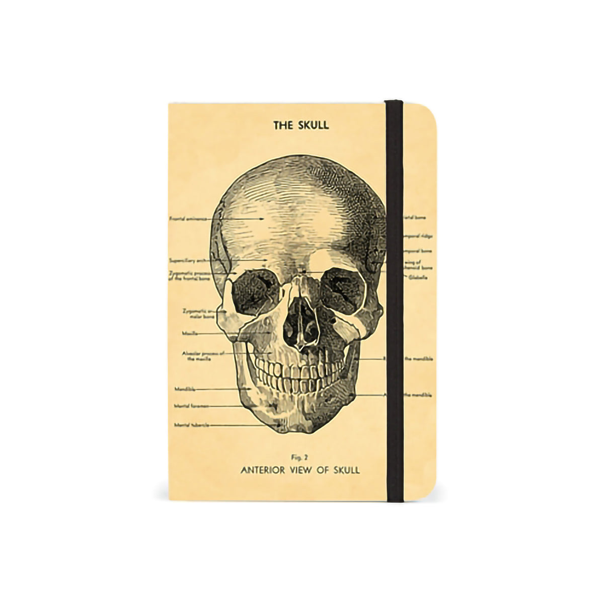 SMALL NOTEBOOK SKULL