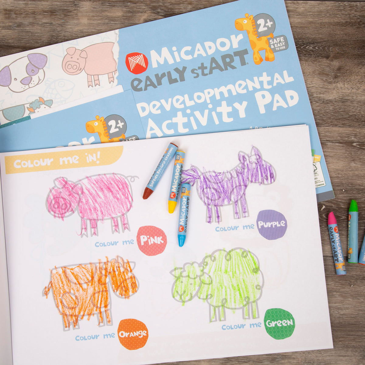 EARLY START DEVELOPMENTAL ACTIVITY PAD