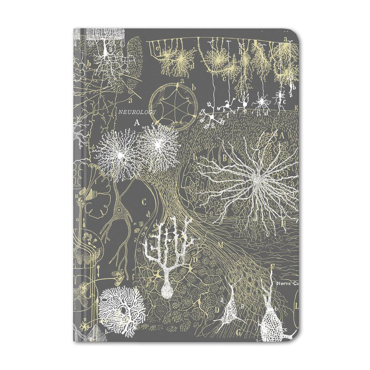 CASE STUDY MINI HARDCOVER DOT GRID NEURONS