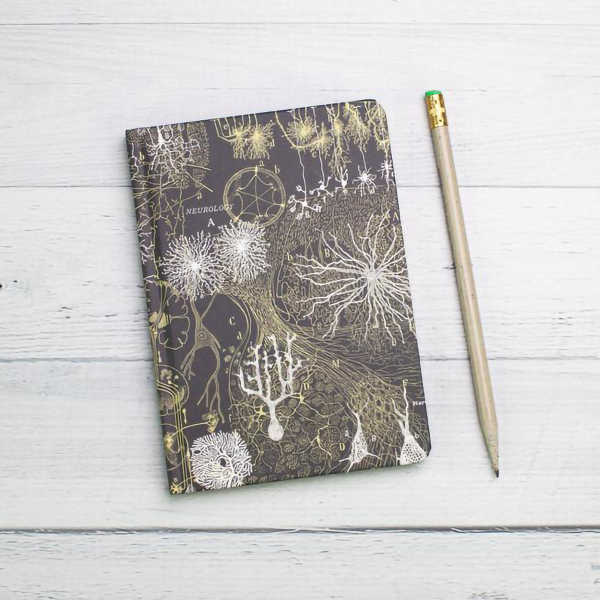 CASE STUDY MINI HARDCOVER DOT GRID NEURONS