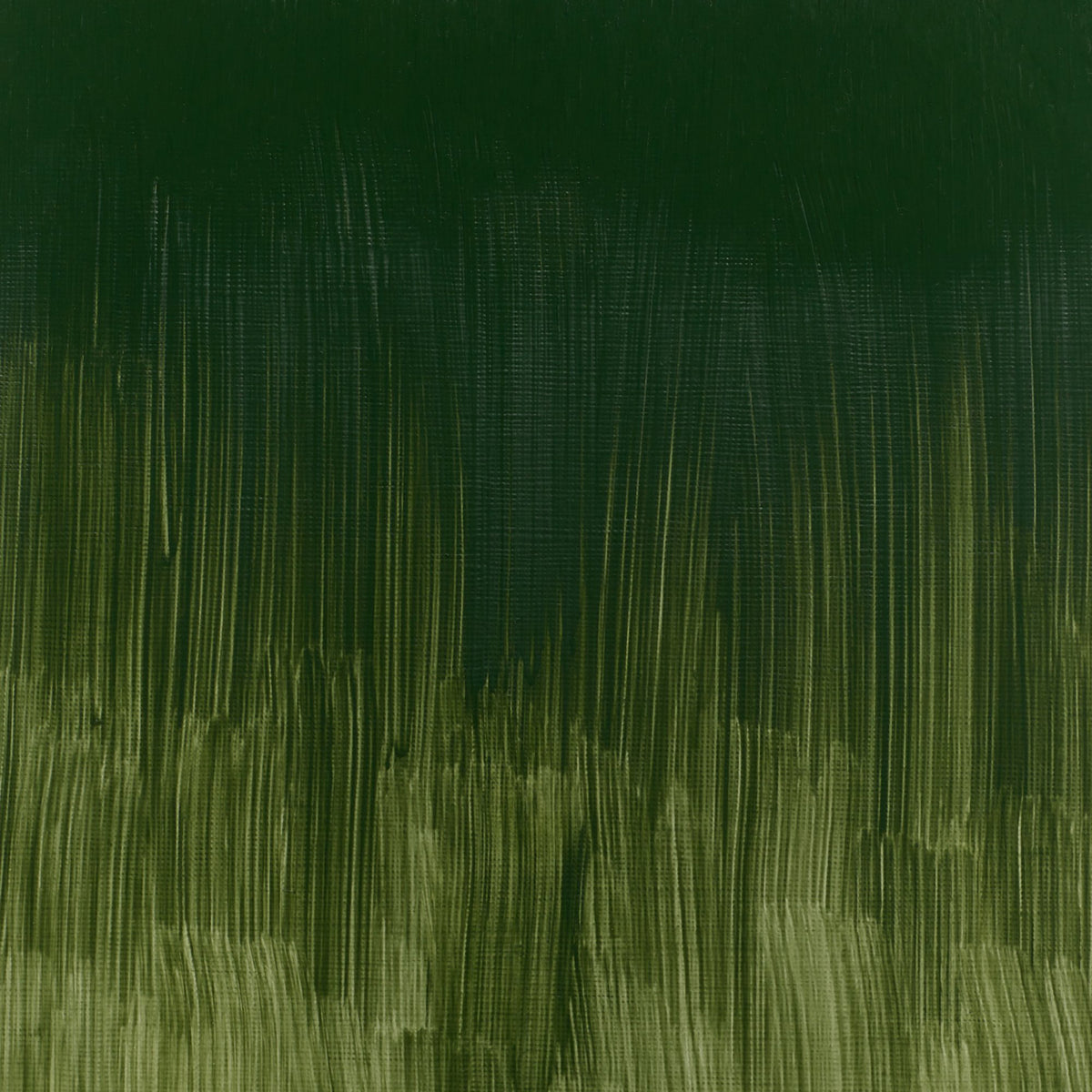 WINTON OIL COLOR 37ml DARK VERDIGRIS