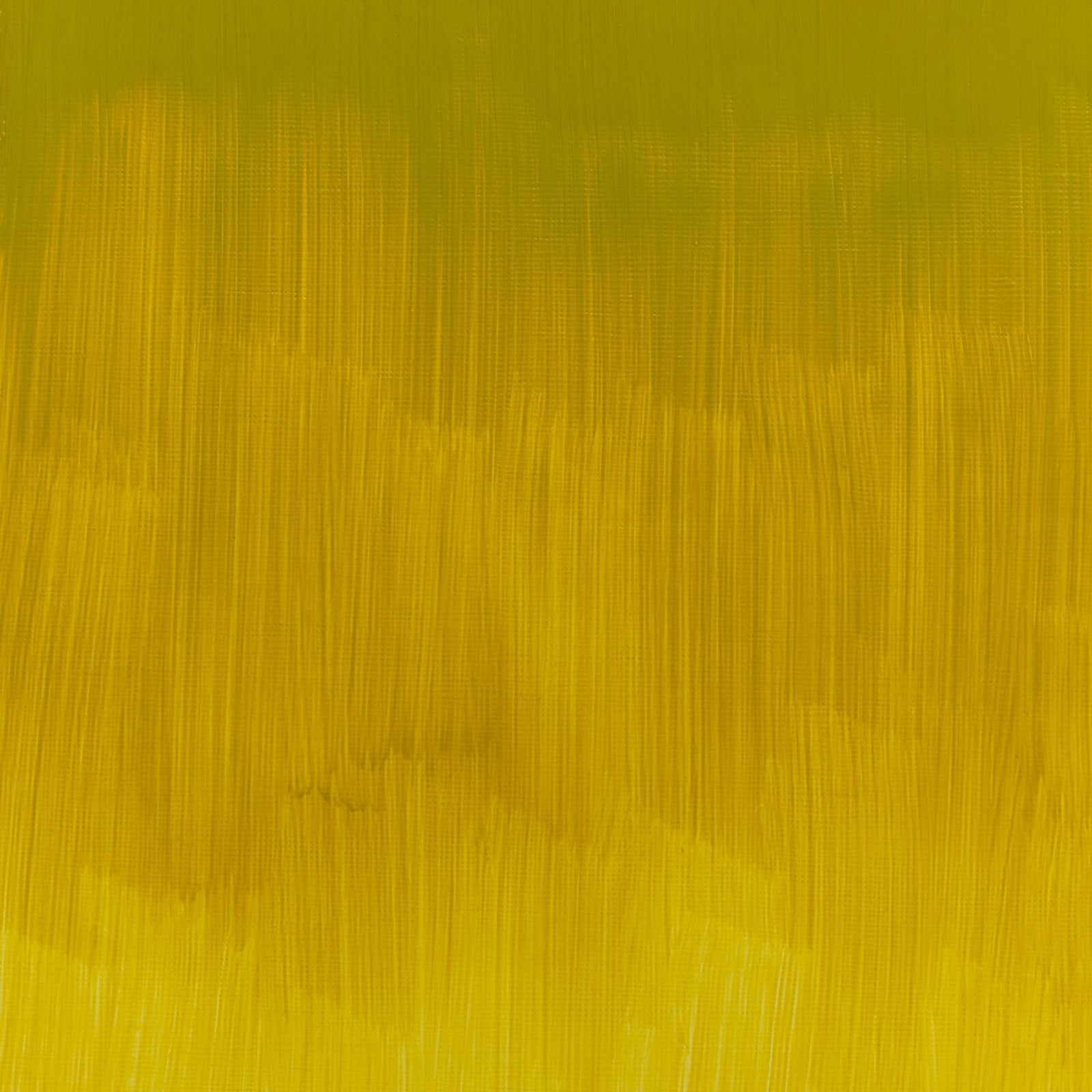 WINTON OIL COLOR 37ml AZO YELLOW GREEN