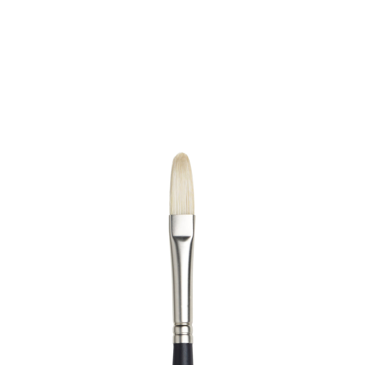 W&amp;N ARTISTS&#39; OIL BRUSH FILBERT 5