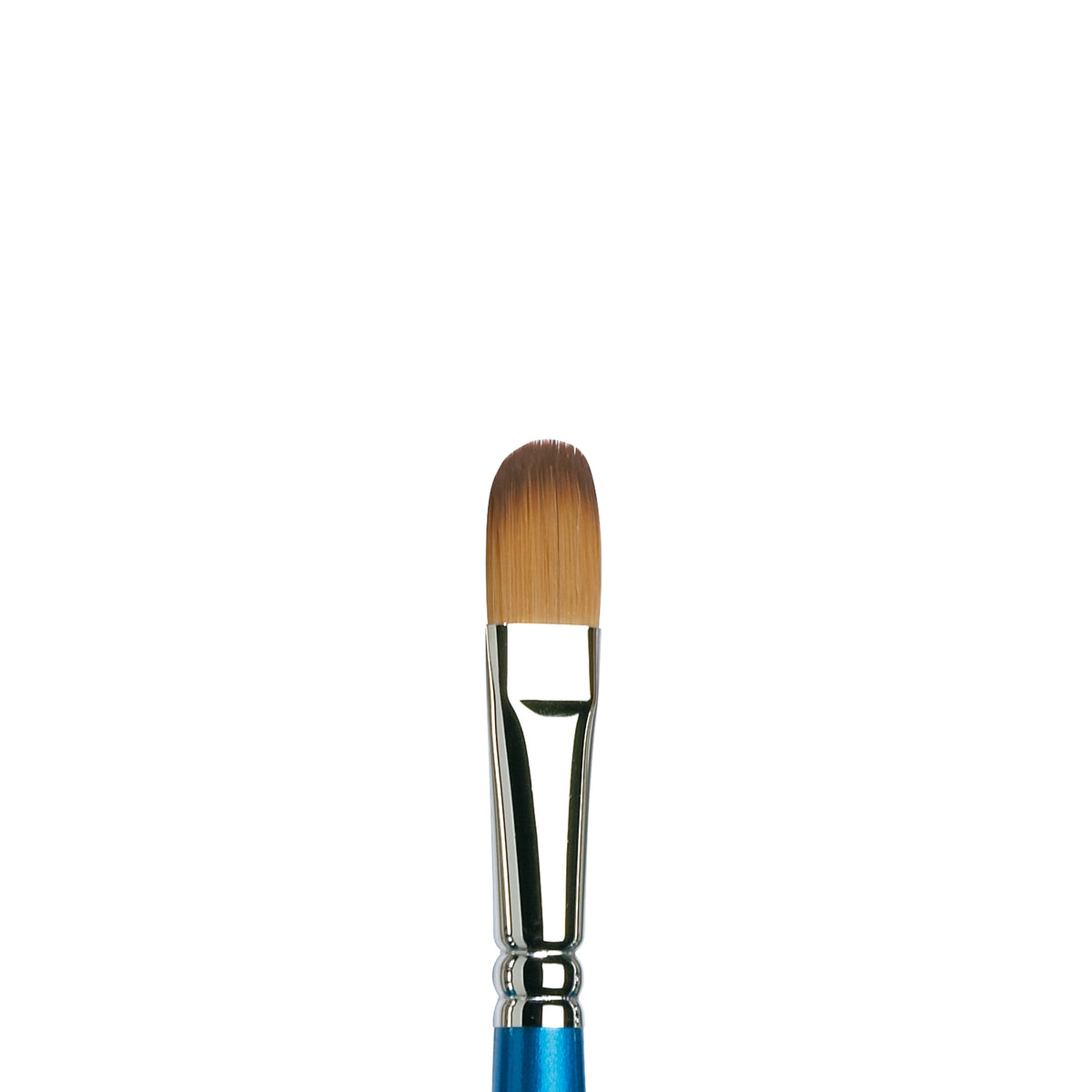 COTMAN-668 FILBERT 1/2