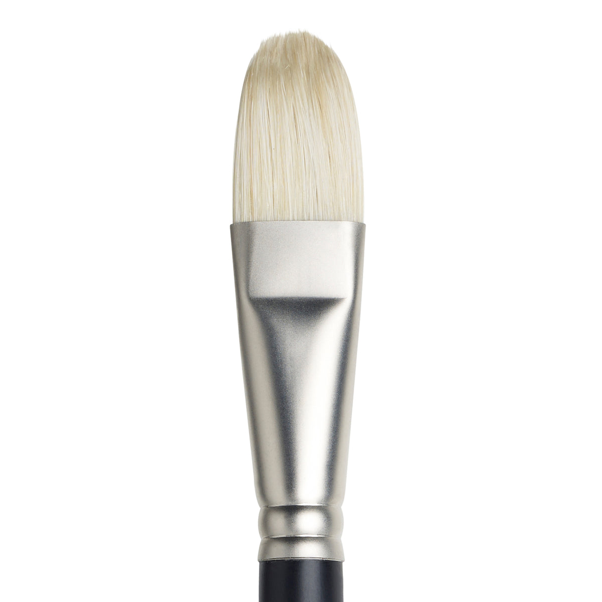 W&amp;N ARTISTS&#39; OIL BRUSH FILBERT 12