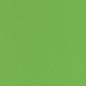 FOLIA ARTCARD 19.5X27.5 LIGHT GREEN