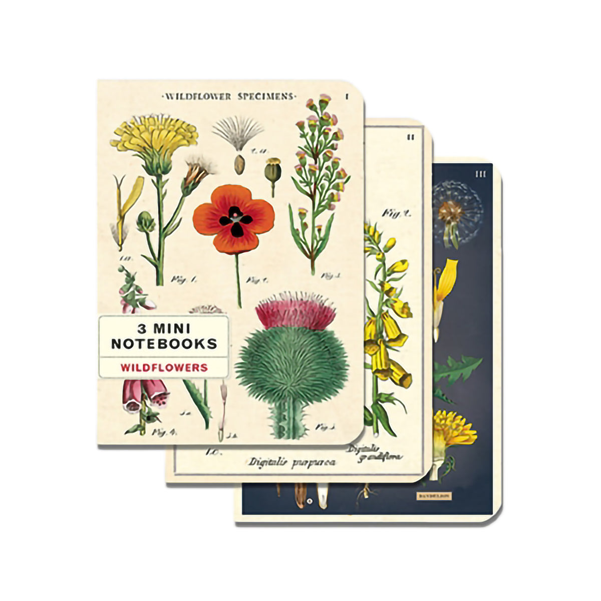 MINI NOTEBOOKS WILDFLOWERS SET/3