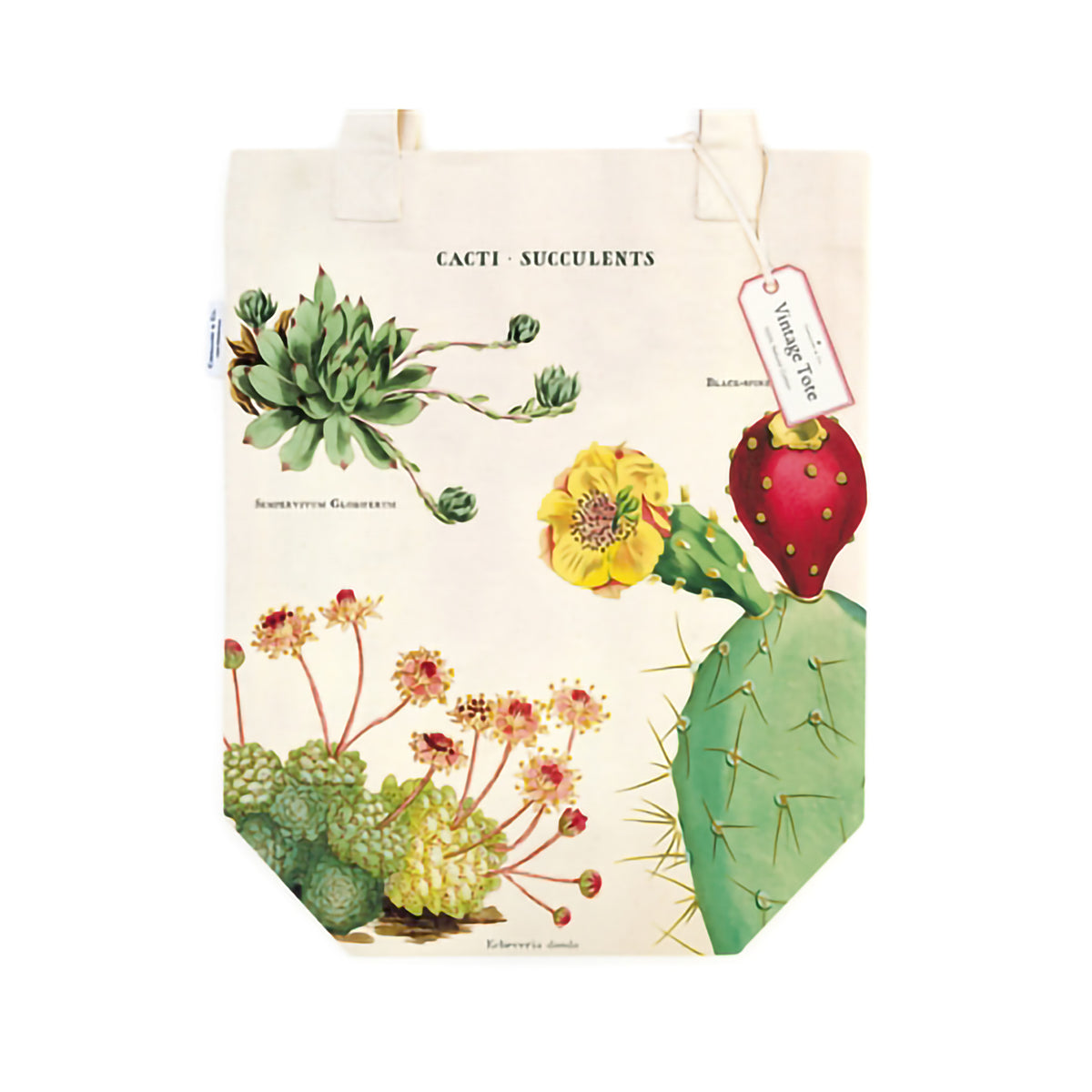 VINTAGE TOTE SUCCULENTS