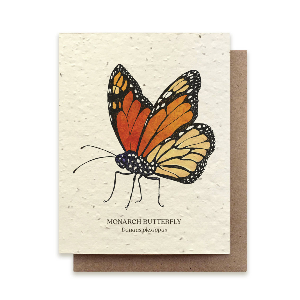 PLANTABLE SEED CARD - MONARCH BUTTERFLY