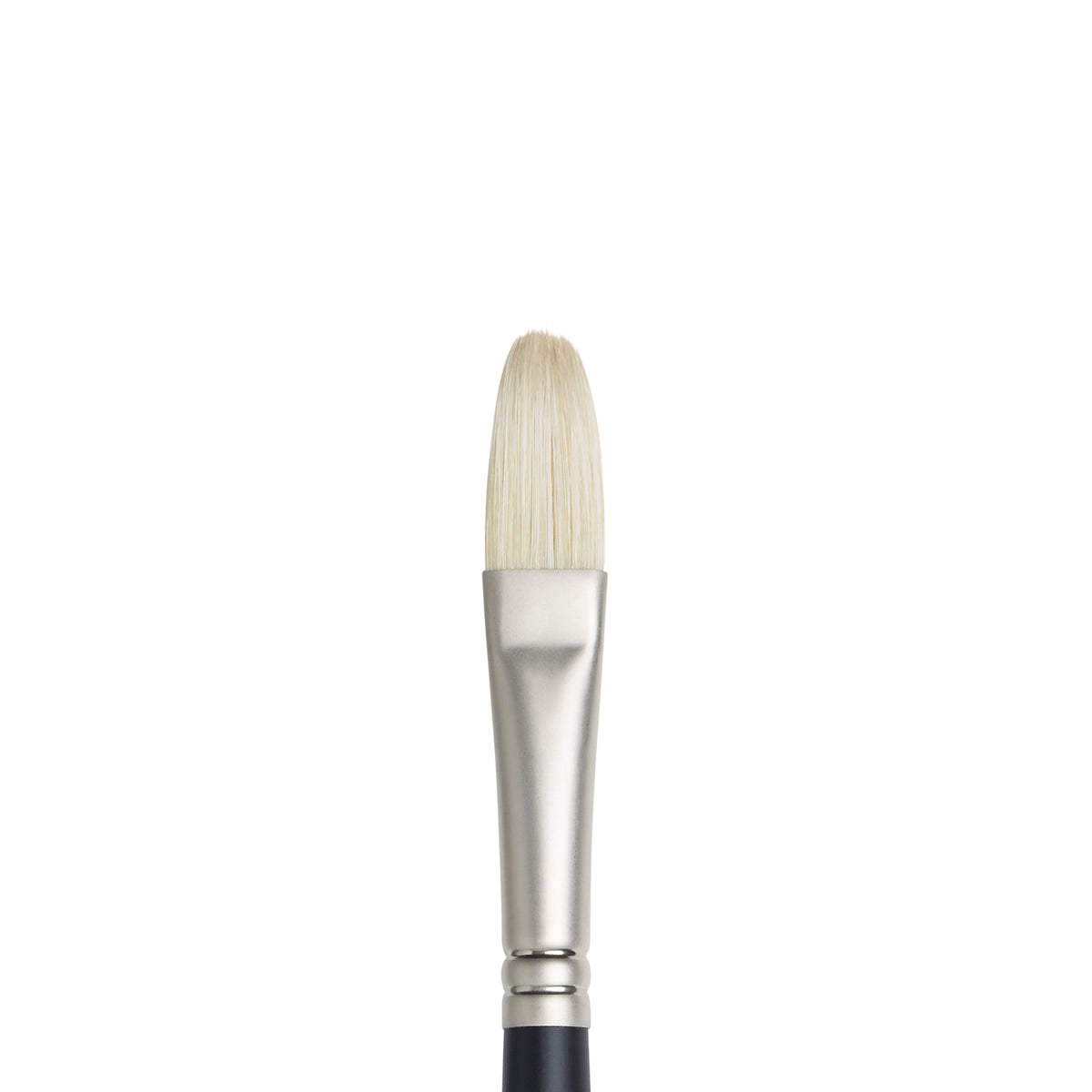 W&amp;N ARTISTS&#39; OIL BRUSH FILBERT 8