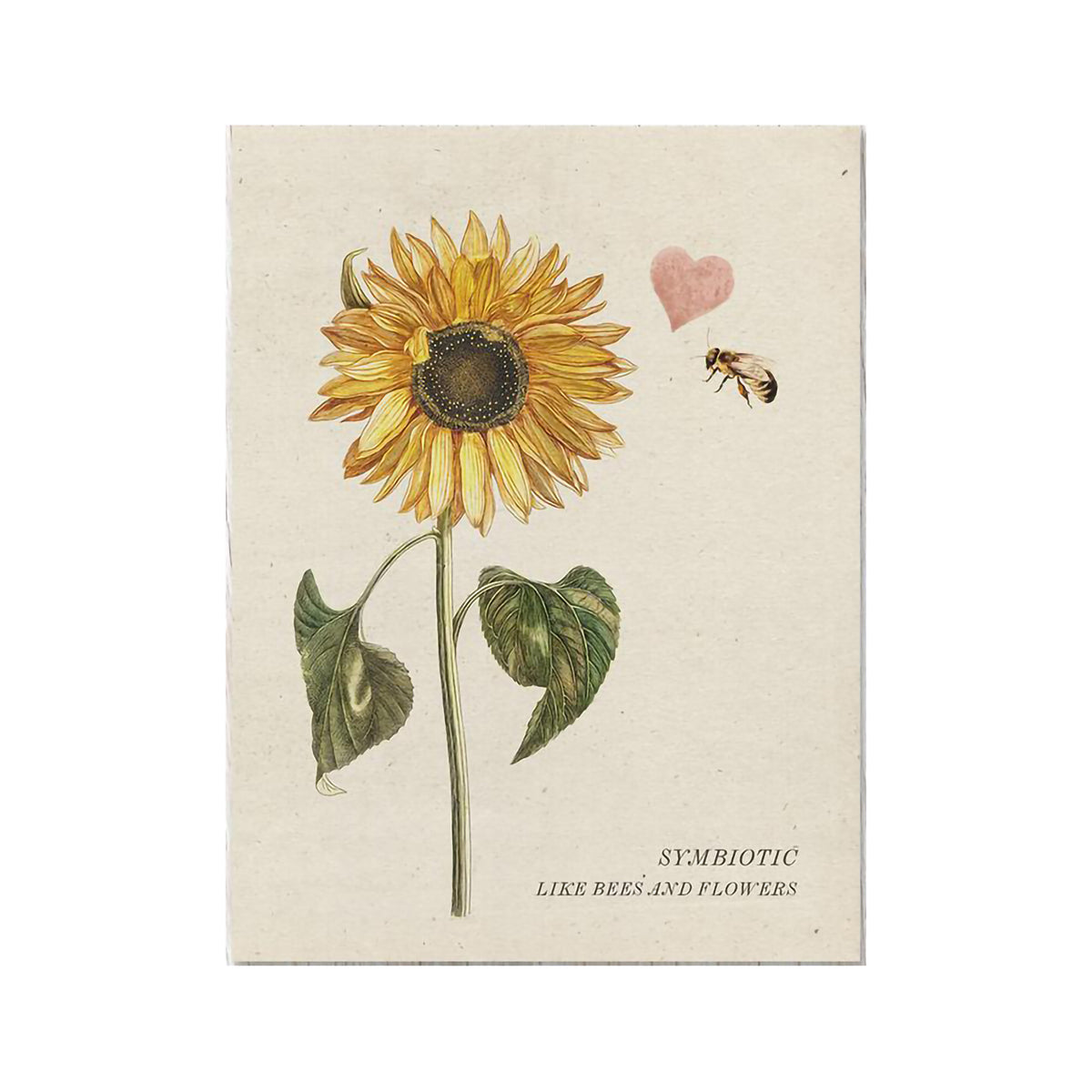 COGNITIVE SURPLUS CARD - SYMBIOTIC LIKE BEES &amp; FLOWERS