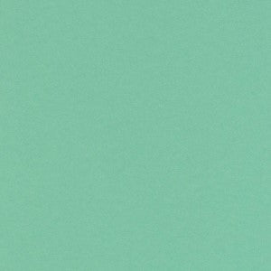 FOLIA ARTCARD 19.5X27.5 MINT