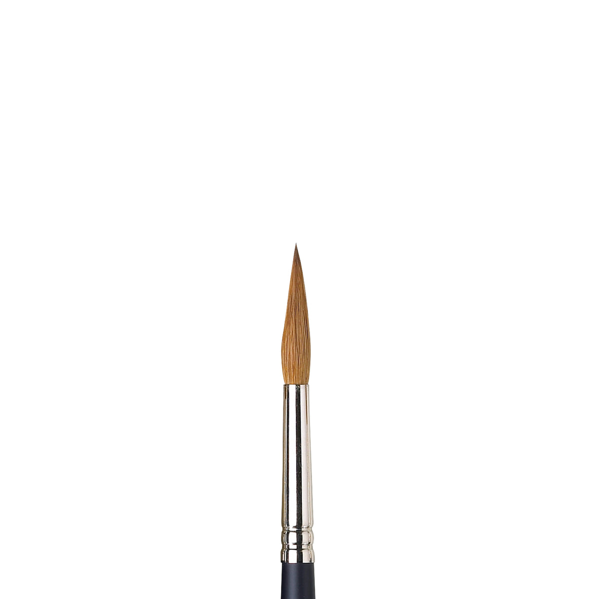 W&amp;N PROFESSIONAL WATERCOLOR SABLE BRUSH POINTED ROUND 8