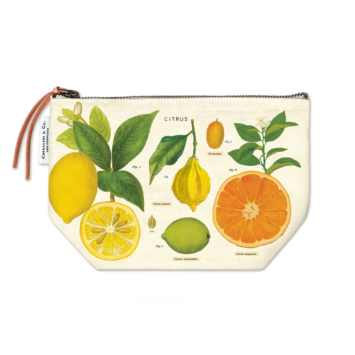 VINTAGE POUCH CITRUS