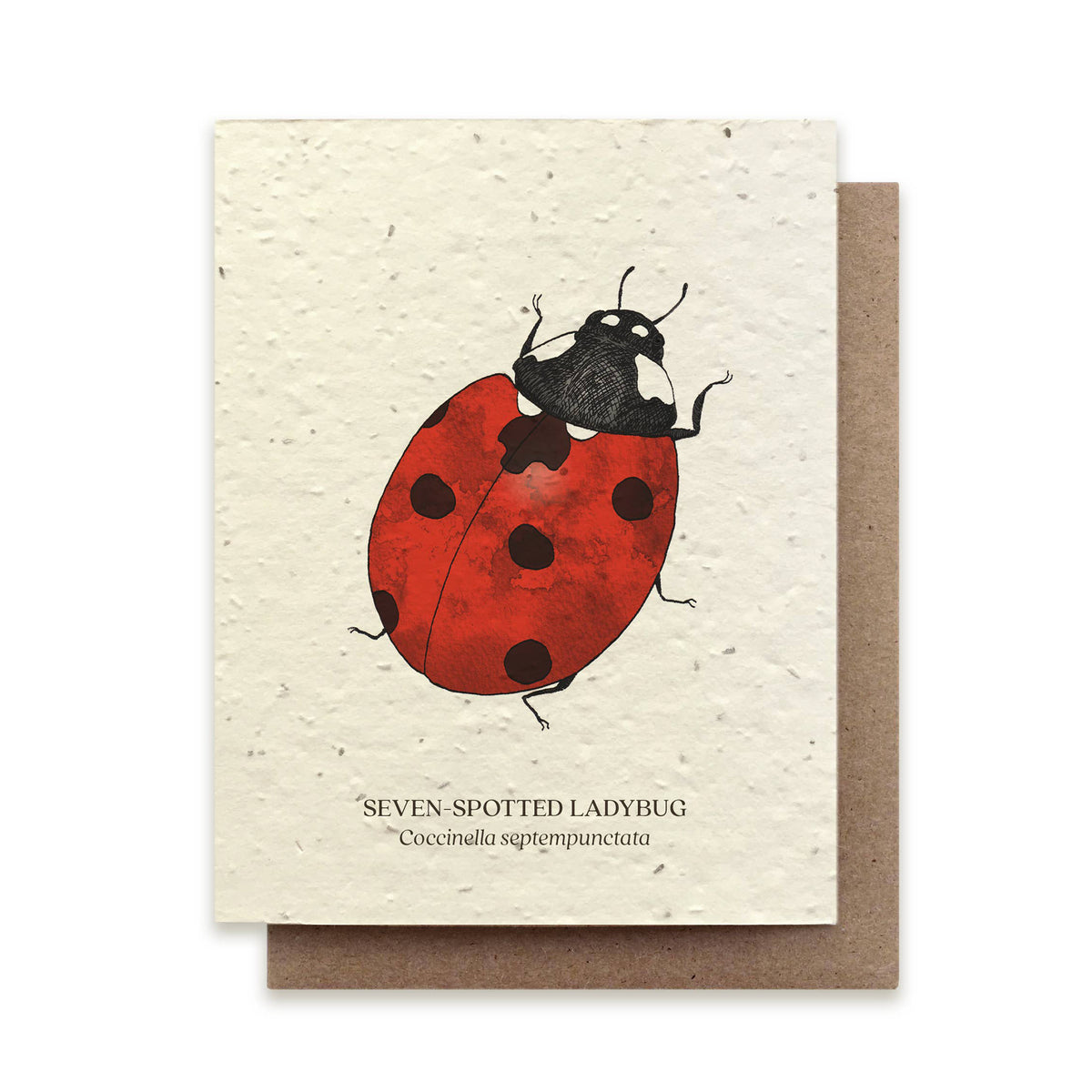 PLANTABLE SEED CARD - LADYBUG