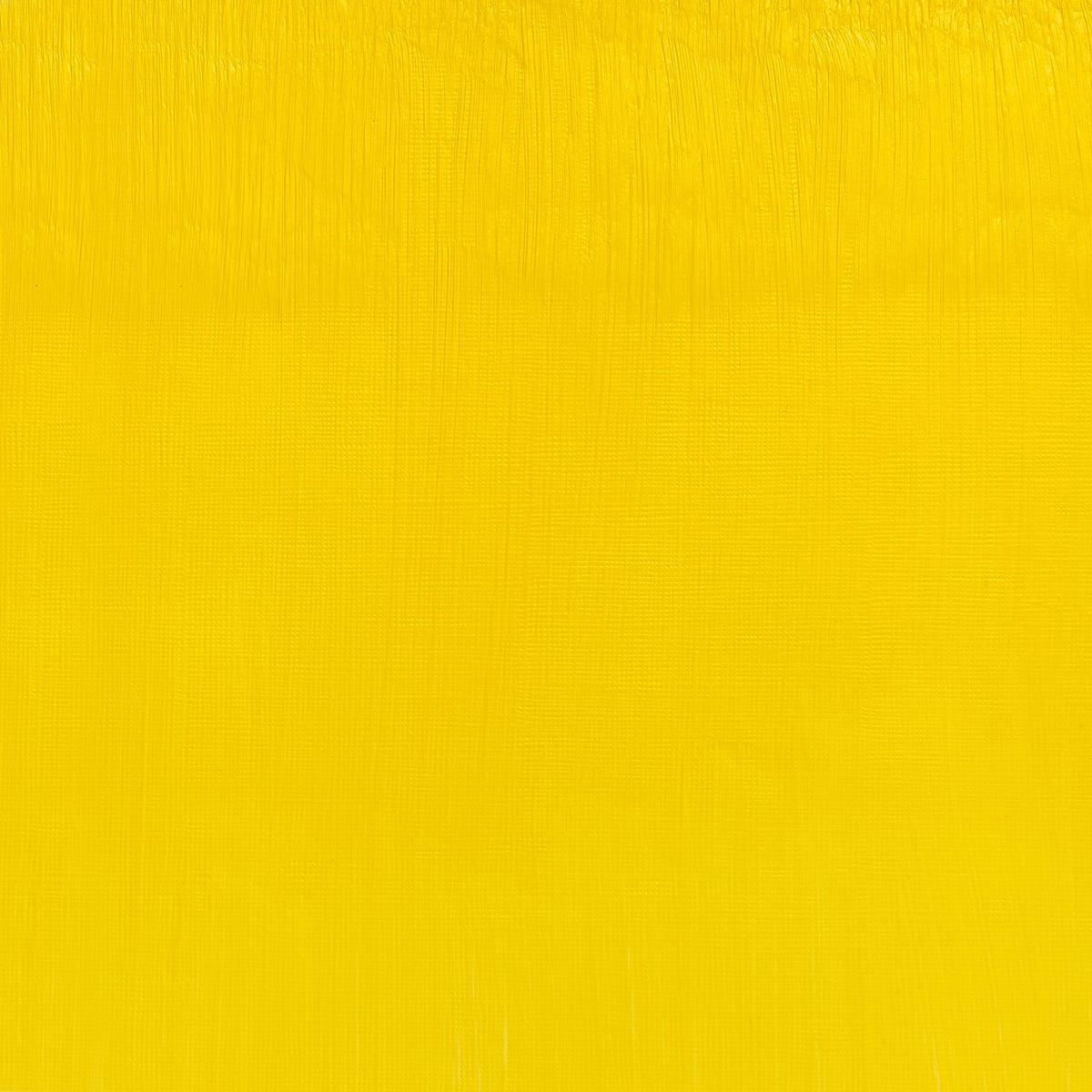 W&amp;N ARTISTS&#39; OIL COLOR CADMIUM FREE LEMON 37ml