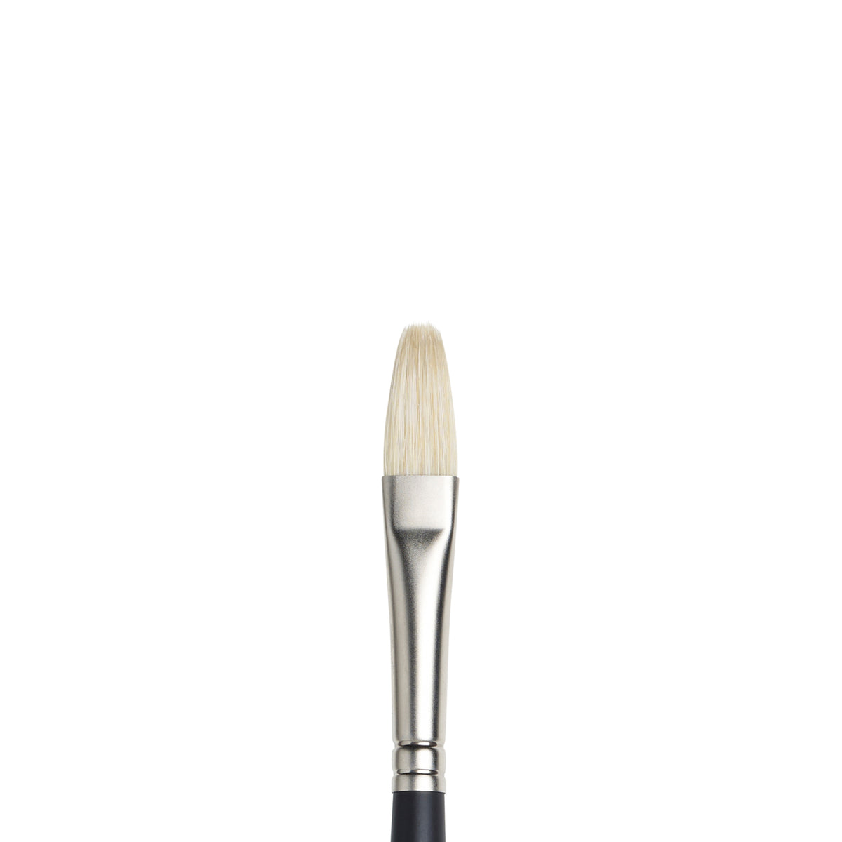 W&amp;N ARTISTS&#39; OIL BRUSH FILBERT 6