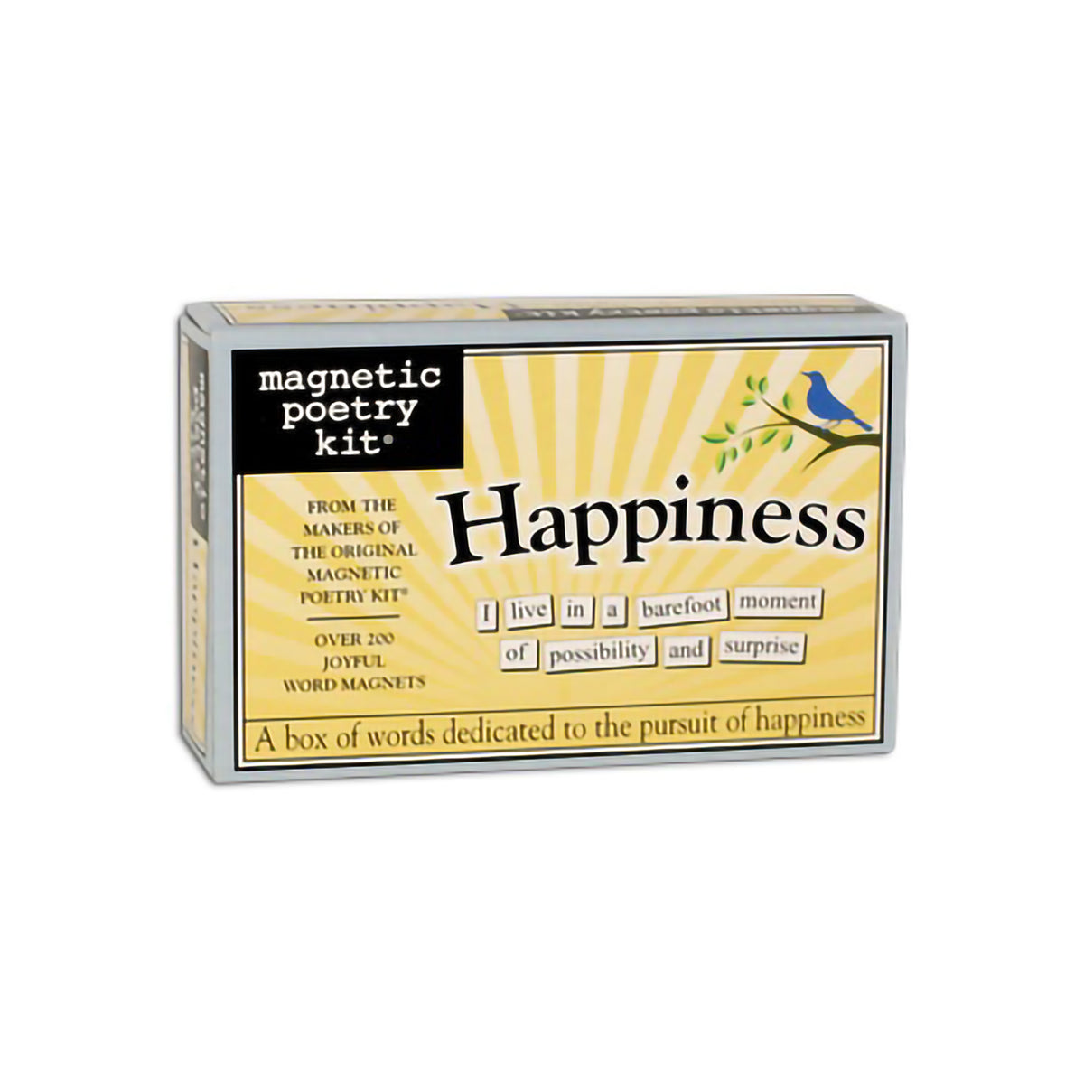 MAGNETIC POETRY HAPPINESS