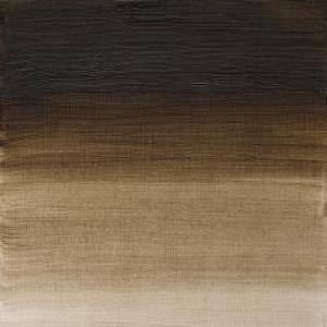 W&amp;N ARTISTS&#39; OIL COLOR RAW UMBER (GREEN SHADE) 37ml
