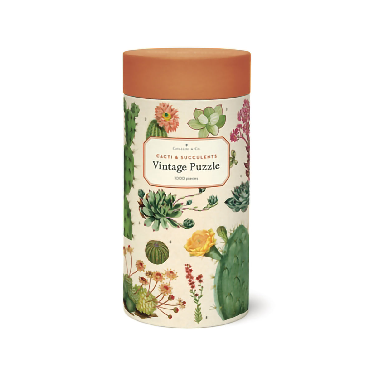 1000 PIECE VINTAGE PUZZLE - CACTI &amp; SUCCULENTS