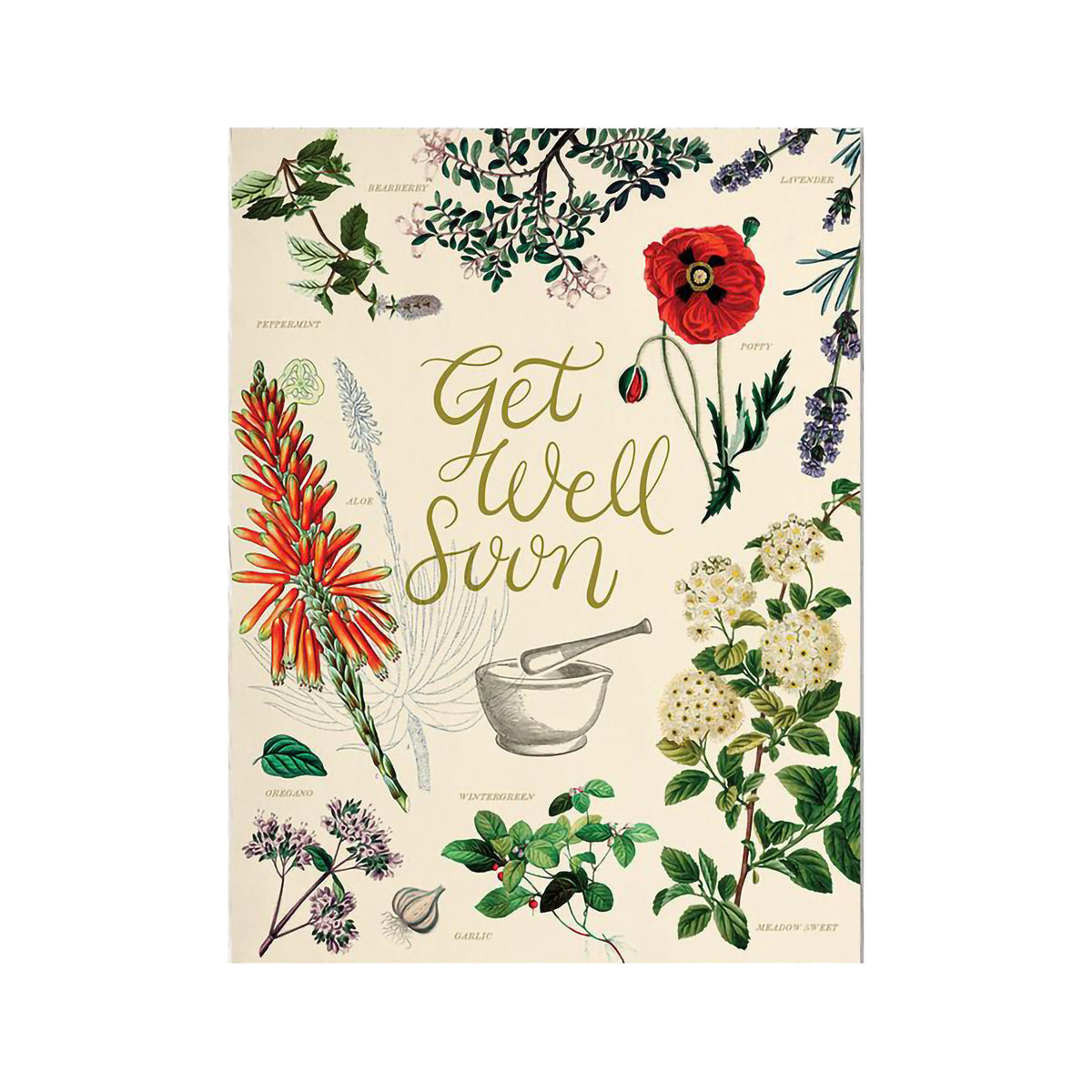 COGNITIVE SURPLUS CARD - GET WELL SOON MEDICINAL BOTANY