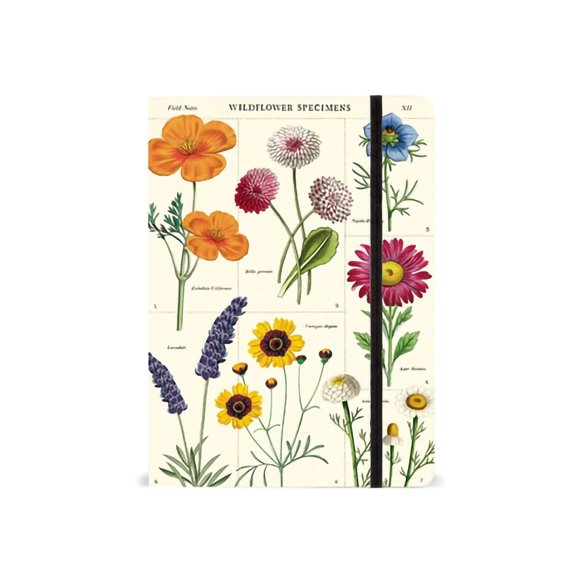 LARGE NOTEBOOK WILDFLOWERS