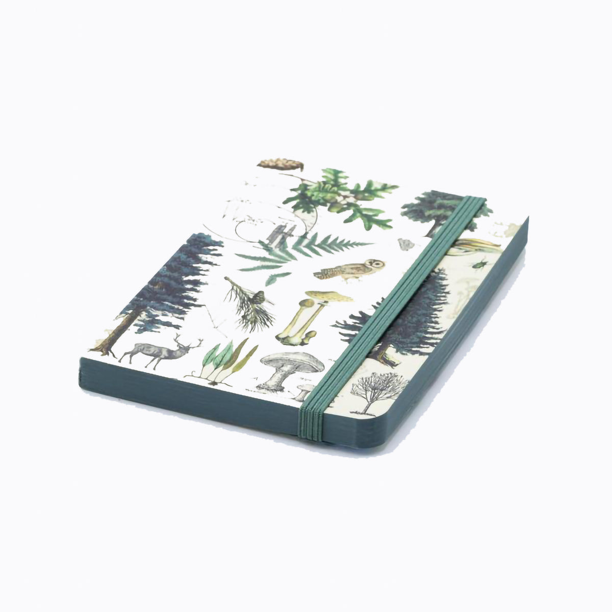 OBSERVATION JOURNAL BLANK INTO THE FOREST