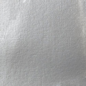 SOFT BODY 59ml JAR IRIDESCENT BRIGHT SILVER