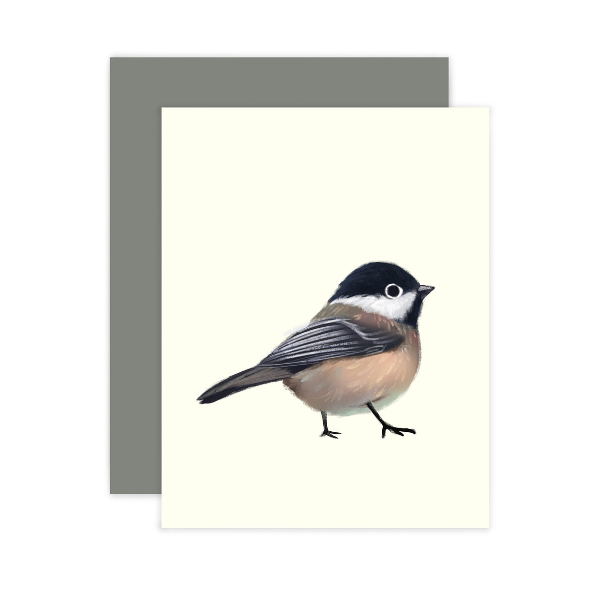 ILLUSTRATION CARD BLACK CAPPED CHICKADEE