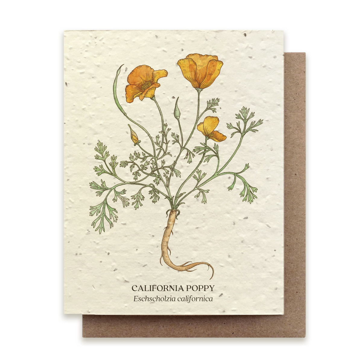 PLANTABLE SEED CARD - POPPY