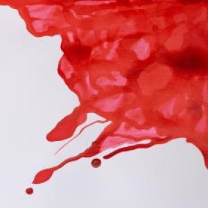 DRAWING INK 14ml SCARLET