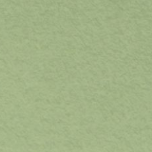 MI-TEINTES 8.5&#39;&#39;x11&#39;&#39; LIGHT GREEN