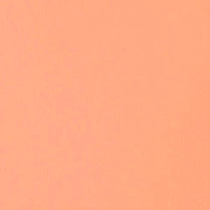 LIQUITEX HEAVY BODY 2oz TUBE LIGHT PORTRAIT PINK