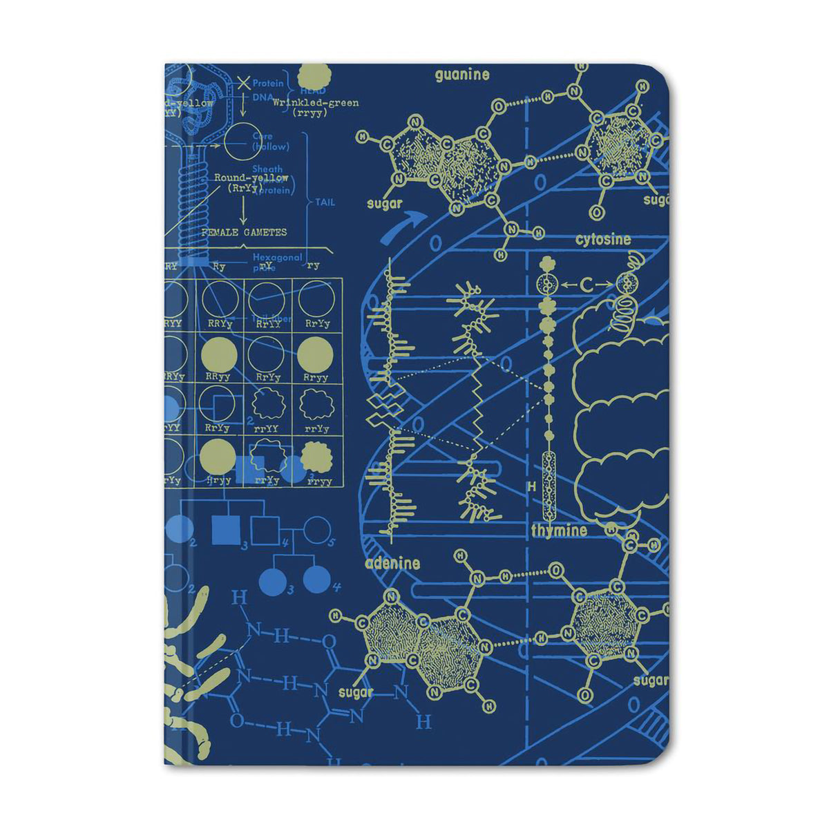 CASE STUDY MINI HARDCOVER DOT GRID GENETICS
