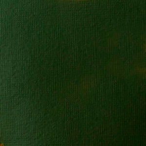 BASICS 400ml JAR HOOKER'S GREEN HUE PERMANENT