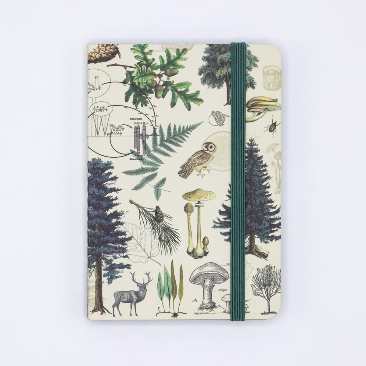 OBSERVATION JOURNAL BLANK INTO THE FOREST