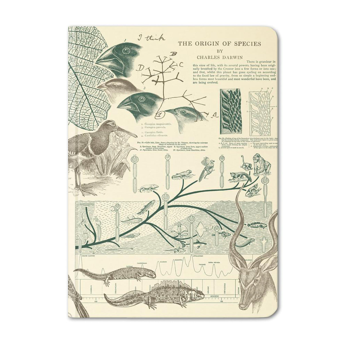 CASE STUDY MINI HARDCOVER DOT GRID EVOLUTION