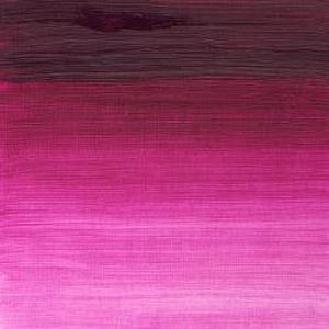 WINTON OIL COLOR 200ml MAGENTA