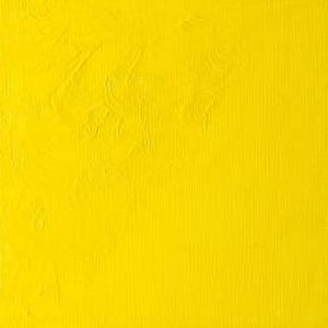 WINTON OIL COLOR 37ml CADMIUM LEMON