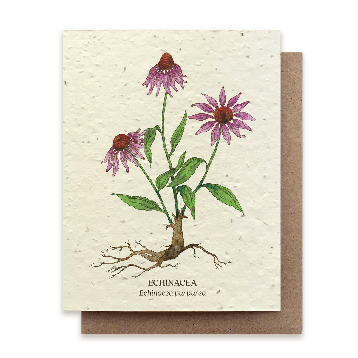 PLANTABLE SEED CARD - ECHINACEA