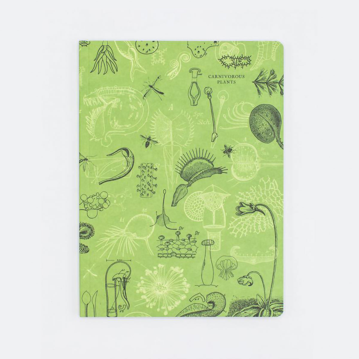 EXPERIMENT SOFTCOVER NOTEBOOK DOT GRID CARNIVOROUS PLANTS