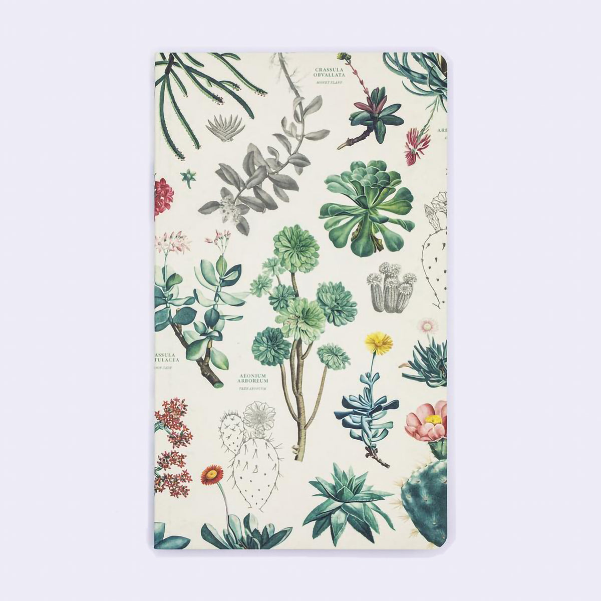 YEARLY PLANNER SUCCULENTS