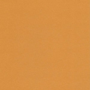 VICE VERSA 20X27.5 LIGHT BROWN